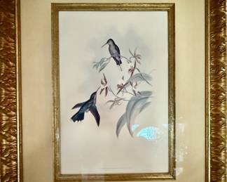 John Gould