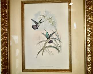 John Gould