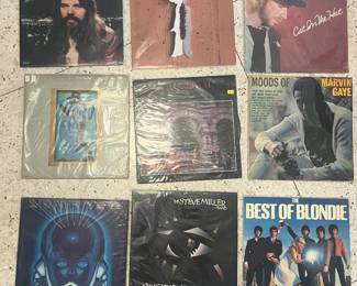 Vinyl Records: hip hop, r&b, rock, pop and more…Blondie, Steve Miller, Journey, Marvin Gaye, Rush, and More!