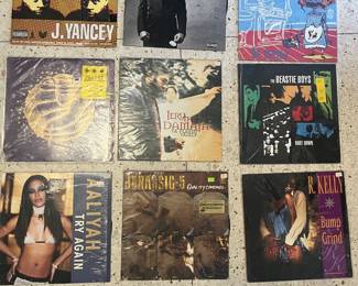 Vinyl Records: hip hop, r&b, rock, pop and more…Los Def, Aaliyah, R. Kelly, The Beastie Boys, and More!