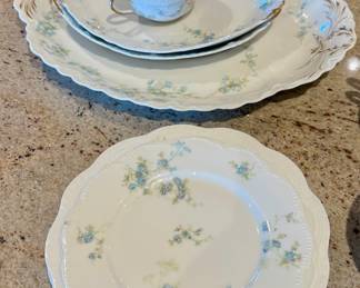 Haviland & Co. Limoges Blue Floral Dinnerware Set