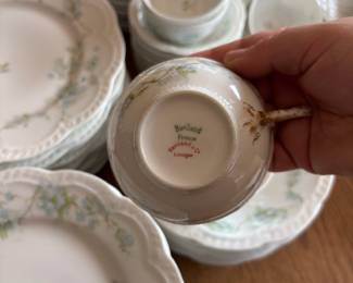 Haviland & Co. Limoges Blue Floral Dinnerware Set