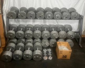 036 Serious Dumbbells 