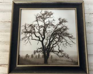 Framed Black & White Photograph – Bare Tree Landscape Scene