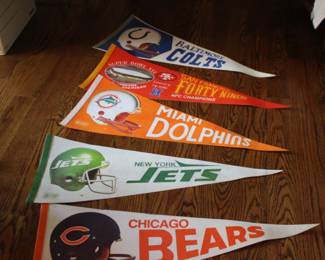 Colts, Forty Niners, Dolphins, Jets, Bears