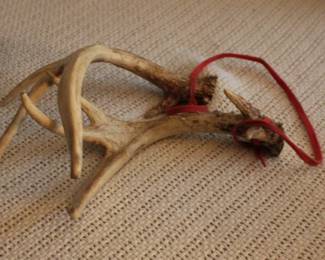 Antlers