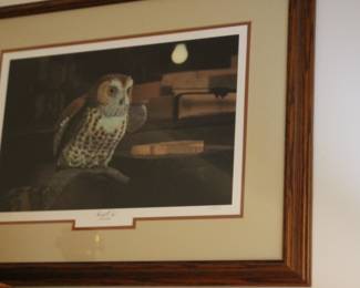 Framed Owl Still Life