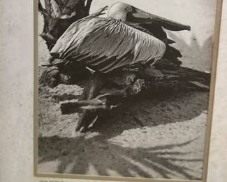 BEAUTIFUL ORIGINAL B&W PHOTOS 