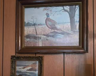 Pheasant Picture - Ocean Picture