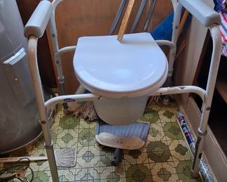 Potty Chair