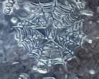 ANTIQUE QUADRUPLE PLATE SERVEWARE