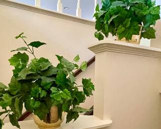 GREENERY IN BRASS POTS