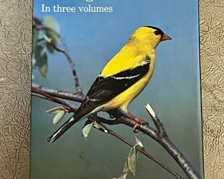 3-VOLUME AUDUBON SOCIENTY MASTER GUIDE TO BIRDING