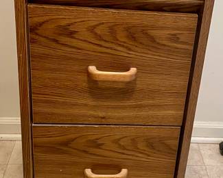 2-Drawer File Cabinet on Casters