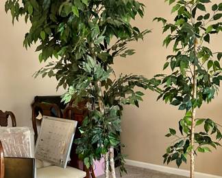 Plastic Trees in Pot