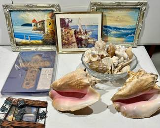 Large Conch Shells, Shells, Wall Décor