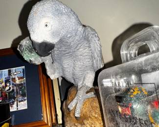 BIRD!