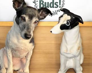 Sweet Pea has found her soul mate