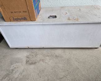 Storage Trunk