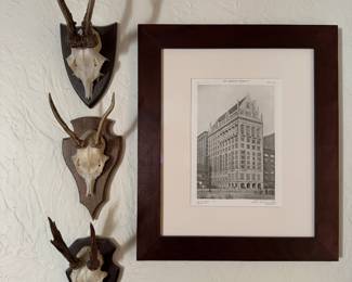 Set of Three Antler Mounts. Each Measures 8" H x 8" D. Pictured with University Club Print. Photo 1 of 3. 
