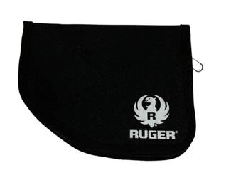 102 - Ruger Pistol Case 8 x 7
