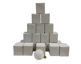 109 - 20 Lightbulbs
