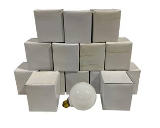 108 - 15 Light Bulbs
