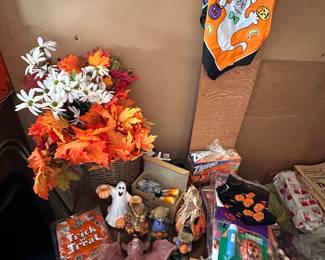 Halloween/fall decor