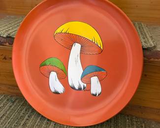 So many more mushroom treasures......