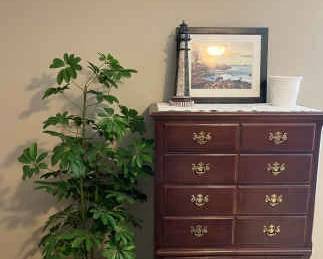 Chest Of Drawers, Plant And Decor