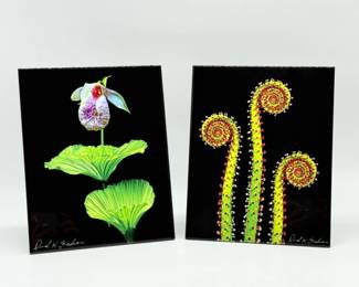92 DavidHFishmanOrchidSundewPhotoonCeramicTileSigned