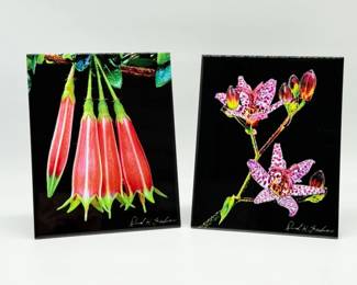 91 DavidHFishmanFuchsiaToadLillyPhotoonCeramicTileSigned