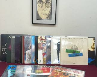 Collection of Vinyl Albums John Lennon Framed Art