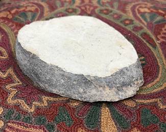 fossil