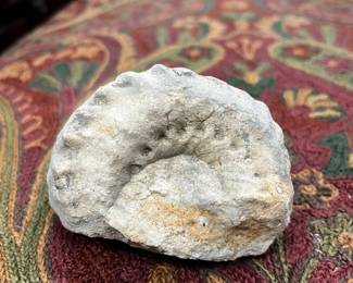 fossil