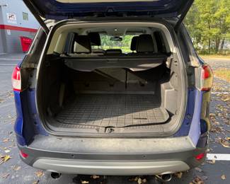 TRUNK VIEW