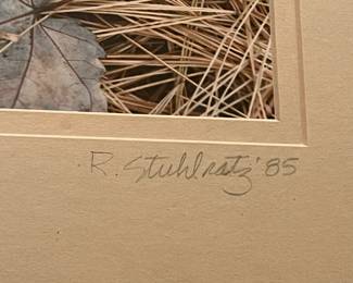 G6 - $20. 1985 Rick Stuhlsatz Photograph. Measures 12.25" square. 