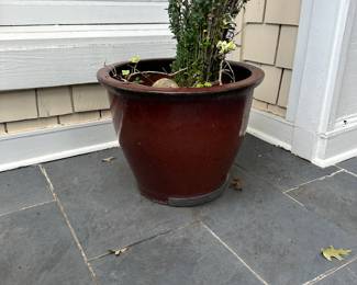 G20 - $25. Large Outdoor Ceramic planter - no cracks noted, does have some minor chips. 
