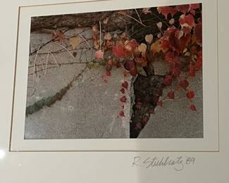 G1 - $40. Pair of 1989 Photos by Rick Stuhlsatz. Framed they measure 14.25" x 14.25". 