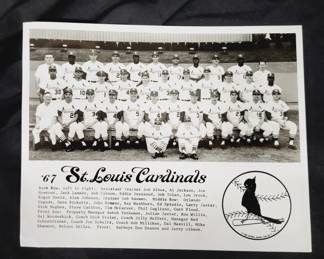 1967 Cardinals Team Photo 8x10
