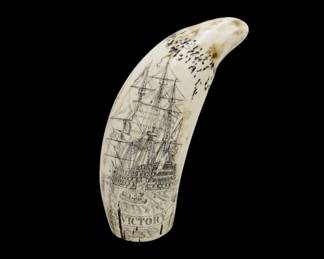 Whale Tooth Scrimshaw Repro