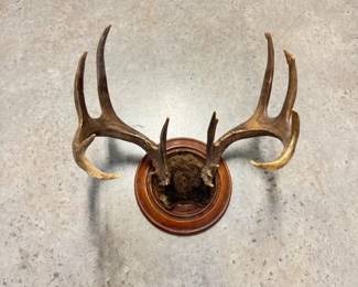 134 MountedDeerAntlersonRusticWoodenPlaque
