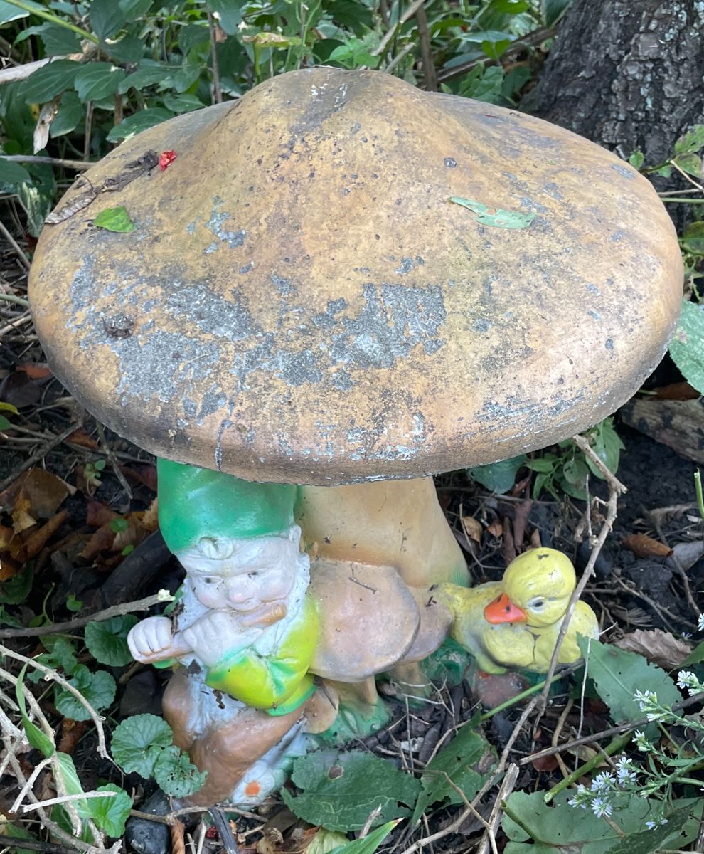 Cement Mushroom & Gnome