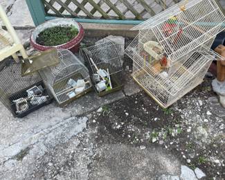 Bird Cages