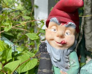 Garden Gnome