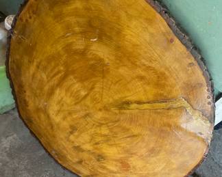 Large Tree Cut, Finished