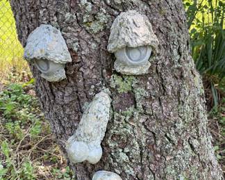 Tree Face
