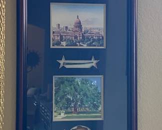 Treaty Oak framed commemorative