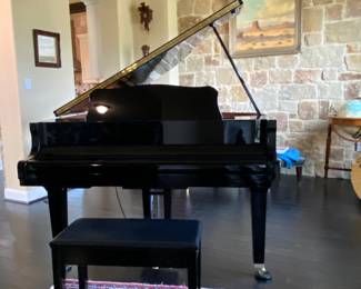 Yamaha baby grand piano. Enspire player feature. Iām gorgeous and not quite two years old.