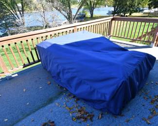 710Back Yard